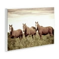 thumbnail image 4 of Stupell Industries Horse Trio Gaze Animals Painting Unframed Art Print Wall Art, 15 x 10, 4 of 8