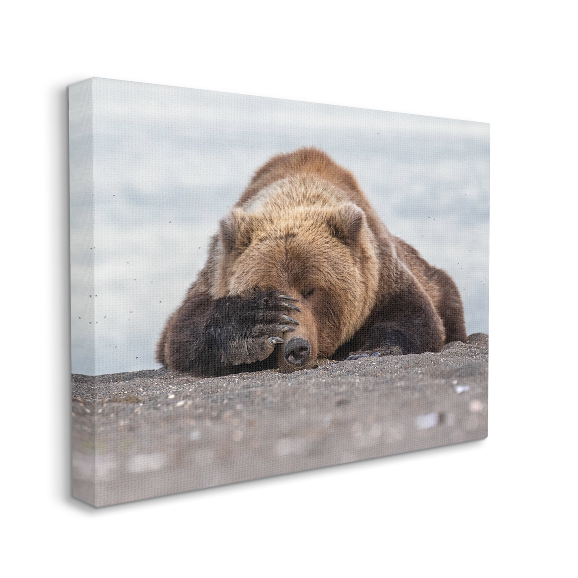 Stupell Industries Monday Blues Bear Animals & Insects Photography Gallery Wrapped Canvas Art Print Wall Art, 40 x 30