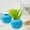 Blue, variant on Konghyp Pumpkin Shaped Plastic Flower Pot, Decorative Vase for Home, Festive Ambiance for Halloween & Thanksgiving, Eco-Friendly Planter, Indoor and Outdoor Decoration