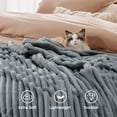 thumbnail image 4 of Throw Size Blankets for Beds, Soft Lightweight Fleece Fuzzy Throw Blanket for Couch, Silver Gray Blankets and Throws for Women Girls, 40" x 60", 4 of 7