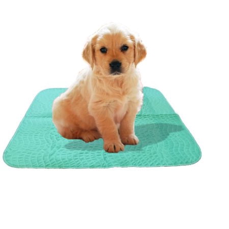 Deluxe 2pk Waterproof Reusable Washable Large Dog Puppy Pet Training Travel Pee Pads, 34” x (Best Pee Pads For Cats)