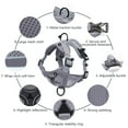 thumbnail image 6 of Deeceymbur Dog Leash and Collar Set, Dog Leash for Small Medium Dogs Puppy and Cats Outdoor Walking Running, 6 of 6