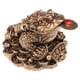 thumbnail image 5 of Figura de rana de dinero de resina de sapo de la riqueza de tres patas del Feng Shui tradicional chino Bronce, 5 of 9