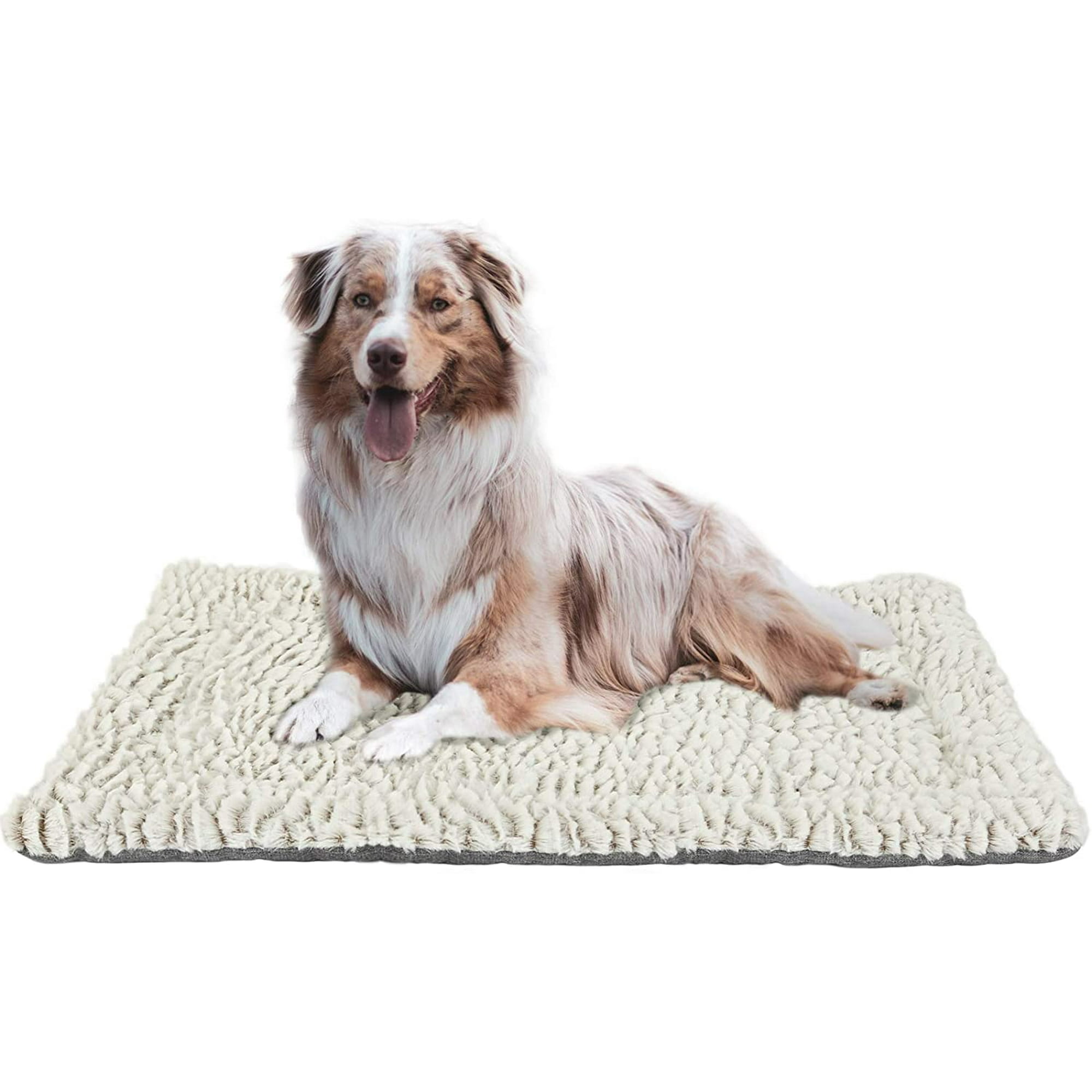 Bed cover for dogs online