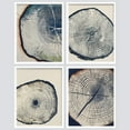 thumbnail image 3 of PixonSign Framed Wall Art, Blue & White Overexposed Wood Tree Ring Artwork, Set of 4 Nature Wildernes Plant Wall Decor Prints, Minimalism Modern Wall Décor for Living Room, Bedroom - 11"x14" White, 3 of 5