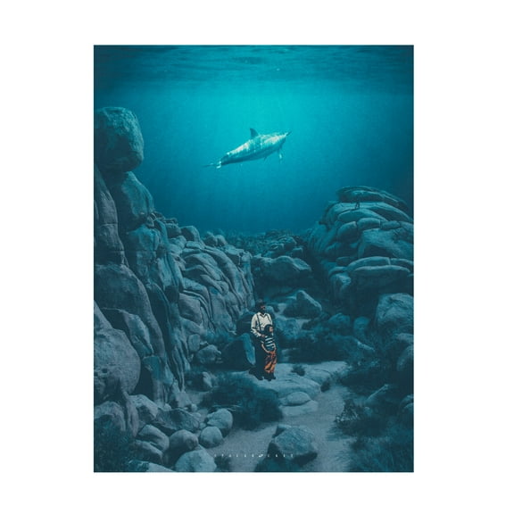 Trademark Fine Art spacerocket art  262 Canvas Wall Art