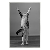 Stupell Industries Funny Cat Victory Pose Animals & Insects Photography Unframed Art Print Wall Art, 13 x 19
