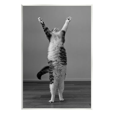 Stupell Industries Funny Cat Victory Pose Animals & Insects Photography Unframed Art Print Wall Art, 13 x 19