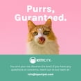 thumbnail image 5 of Kitty City Dishwasher Safe Plastic Elevated Cat Bowls, 2-Pack Set, Pink Cat Ears, One Size, 5 of 5