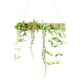 thumbnail image 1 of Plantas colgantes artificiales Inteprter con cadena verde para interiores y exteriores, 1 of 6