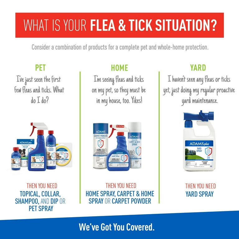 Adams flea and tick shampoo for dogs 2025