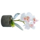 thumbnail image 3 of Orquídea artificial Flor y maceta Simulación Flor en maceta Mesa de oficina en casa Decoración floral falsa, JH1734, Blanco Methold HA7712-02B, 3 of 6
