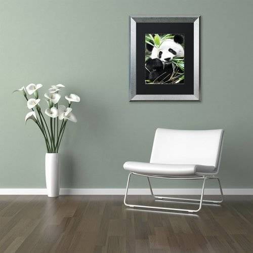 Trademark Fine Art "Giant Panda I" Canvas Art by Philippe Hugonnard, Black Matte, Silver Frame