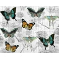 thumbnail image 2 of Allen, Kimberly 18x15 White Modern Wood Framed Museum Art Print Titled - Butterfly Dreams, 2 of 4