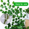thumbnail image 2 of Mosiee Support And Protect Your Climbing Plants With Invisible Wall Vines Fixtures, 2 of 9