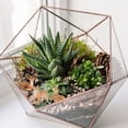thumbnail image 3 of Decor Deer Craft - 3Pcs Simulation Mini Deer Decor Distinctive Resin Craft Succulent Plants Bonsai Decoration, 3 of 7