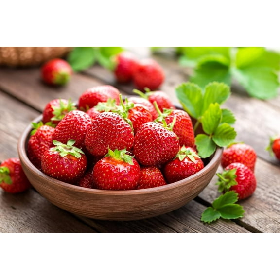 Yambu Strawberry Roots to Grow  Large and Delicious Red Strawberries Healthy Rootstock 5 Plant