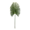 thumbnail image 3 of 41" Anemone Light Green Leaf Stem - Light Green, 3 of 4