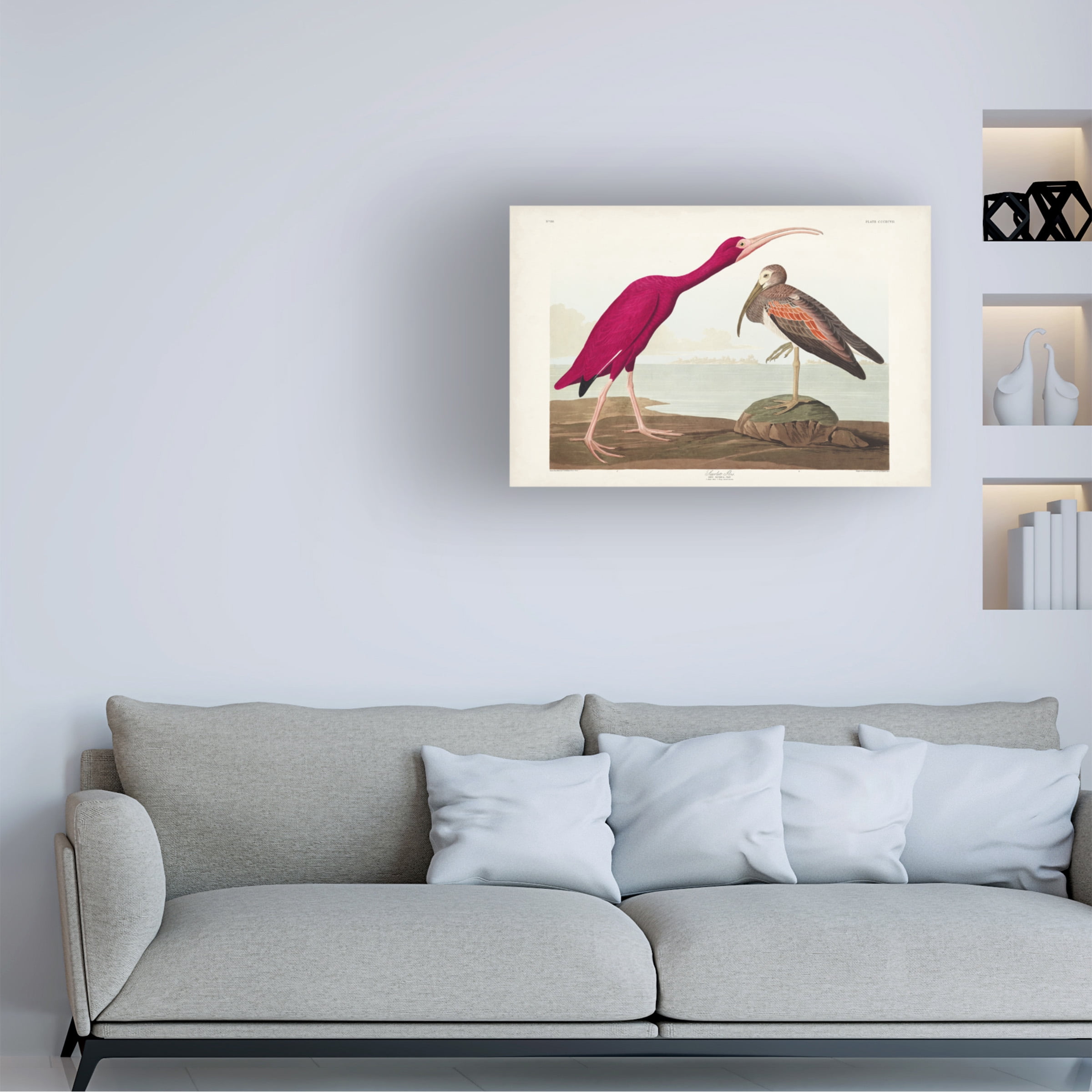 John James Audubon 'Scarlet Ibis' Canvas Art