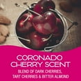 thumbnail image 2 of Power Bloc Car Air Freshener, Coronado Cherry Scent, 2 of 4