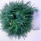 thumbnail image 4 of Guirnalda de luces navideñas de ratán | 100 luces LED de alambre de cobre | Decoración navideña DIY de PVC verde | Funciona con pilas | Para interior y exterior | Guirnalda para pared, árbol,, 4 of 5