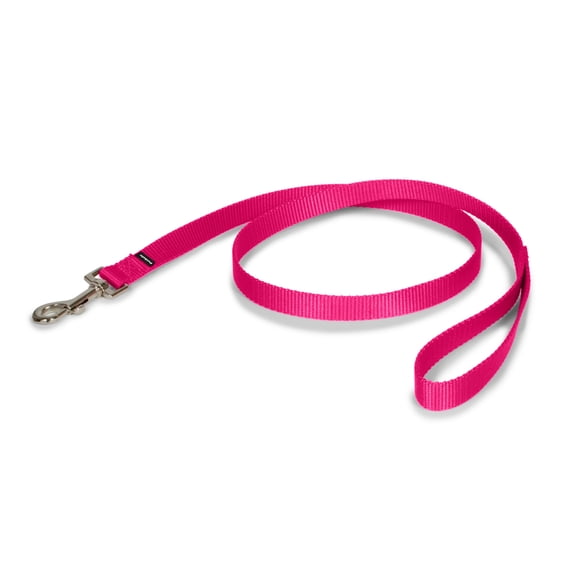 PetSafe Nylon Dog Leash, Strong, Durable, Easy to Use Bolt Snap, 3/4" x 4', Raspberry