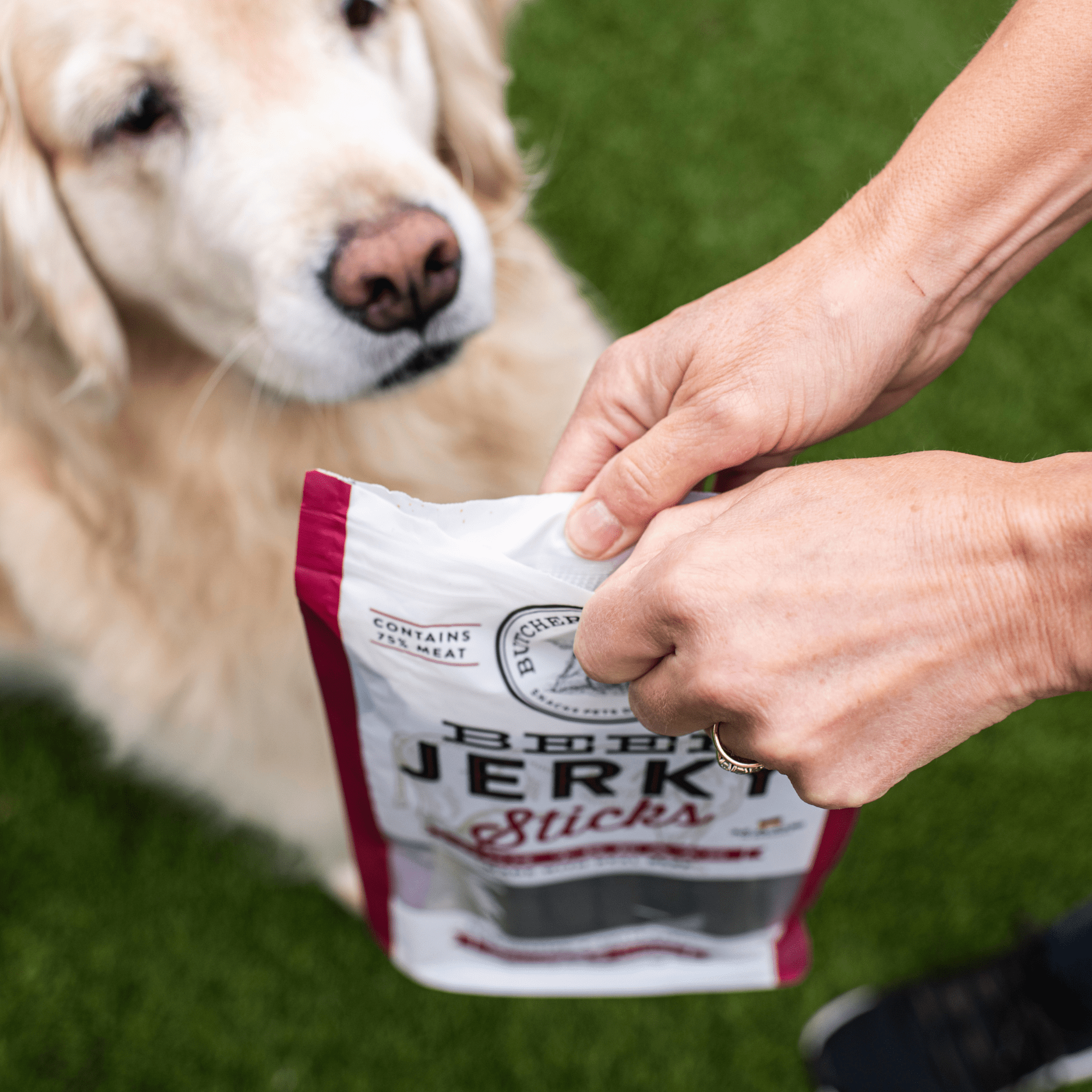 Butchers Naturals Beef Flavor Jerky Sticks, Treats for Dogs, 16 oz Bag