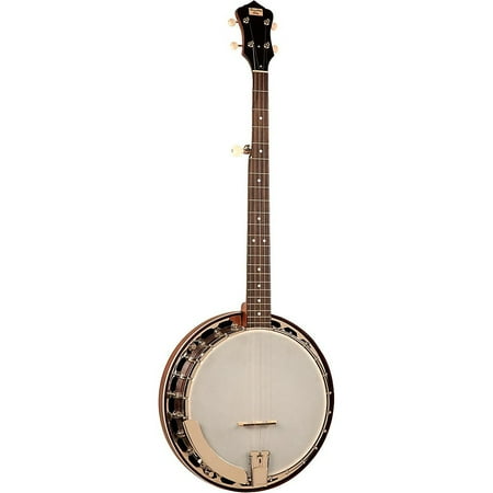 Recording King Madison Rambler Resonator Banjo