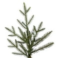 thumbnail image 3 of Vickerman 5.5 Itasca Frasier Artificial Christmas Tree, Unlit - Faux Christmas Tree - Seasonal Indoor Home Decor, 3 of 3