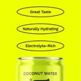 thumbnail image 3 of (Pack Of 24) COAQUA Coconut Water Still 8.4 Fl Oz, 3 of 7