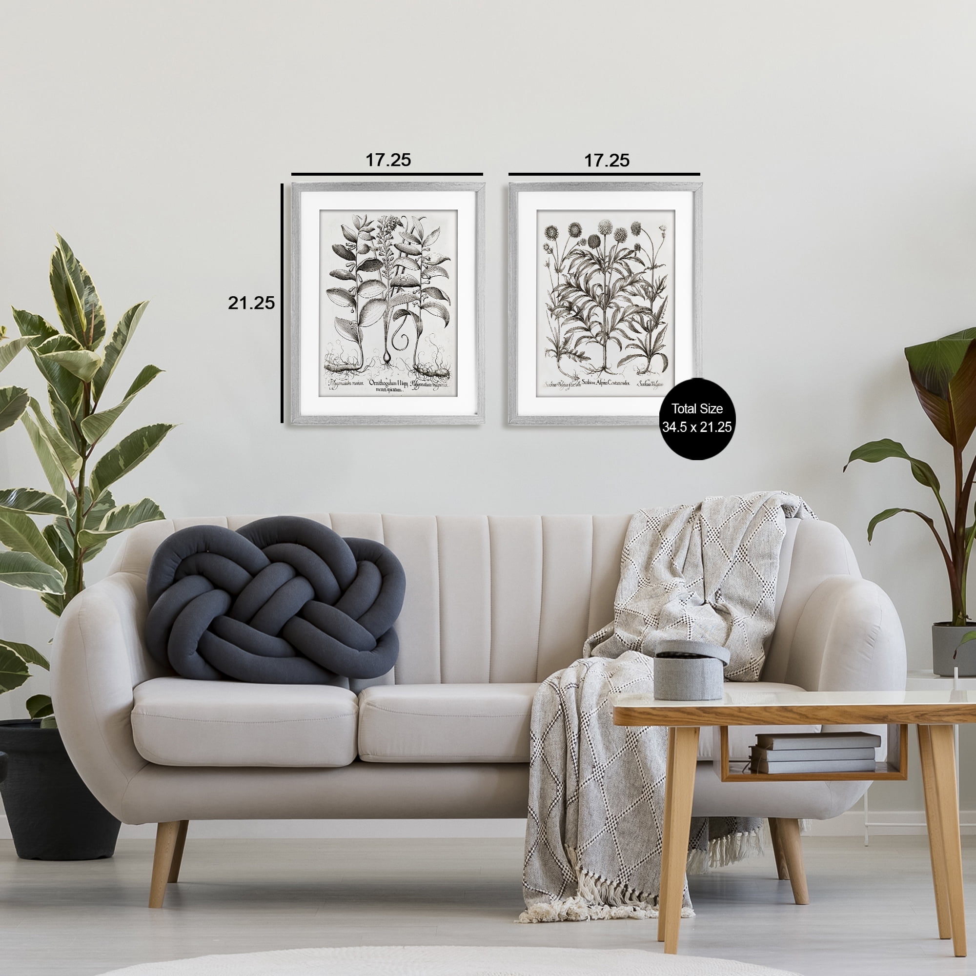 Botanical Root & Plant Studies 2 Piece Gray Framed Print Under Glass Set, design by Lettered and Lined