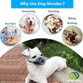 thumbnail image 3 of GFDYREE MOIILAVIN Dog Muzzle 2PCs,Soft Air Mesh Muzzle Breathable for Barking Grooming Biting Chewing for Small Medium Breeds, Barkless Mesh Muzzle Stop Puppy Eating Poop&Rocks XXS XS S (Blu, 3 of 6