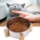 thumbnail image 5 of Comedero para perros y gatos con cuenco de alimentación para mascotas de acero inoxidable con soporte inferior para cachorros de gatos pequeños, 5 of 8