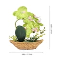 thumbnail image 5 of Masteelf Plants Simulated Phalaenopsis Bonsai 27*17.5cm Green, 5 of 8