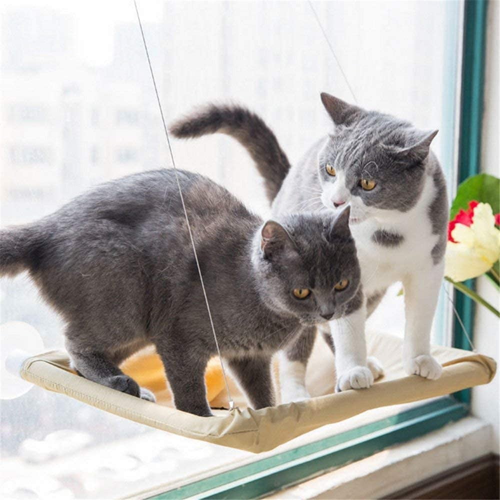 Tenrry Cats Hammock Suction Window Wall Mounted Hanging Bed Kitten Resting Sunny Seat