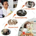 thumbnail image 2 of T Rex Skull, Dinosaur Statue Resin Replica Head Sculptures, Home Office Decorations on Shelf Table Desk Bookshelf, Birthday Party Gift for Kids and Adults,11.8 inch, 2 of 6
