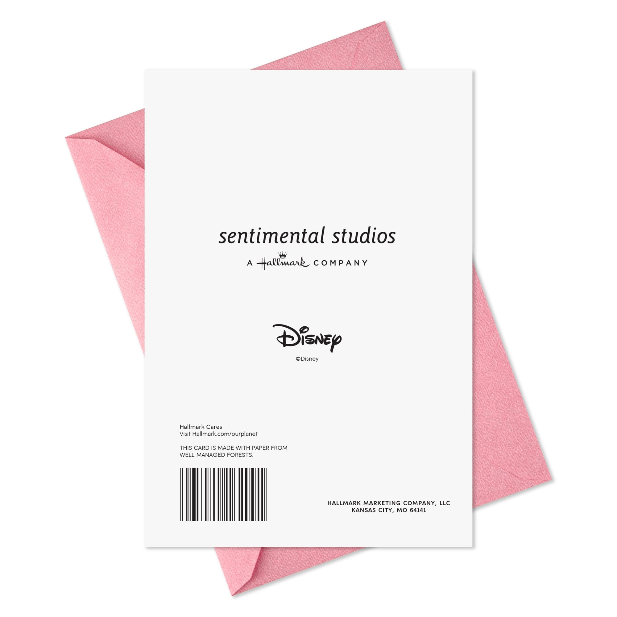 Hallmark Disney Birthday Card for Girl (Tinker Bell Sparkle and Magic)