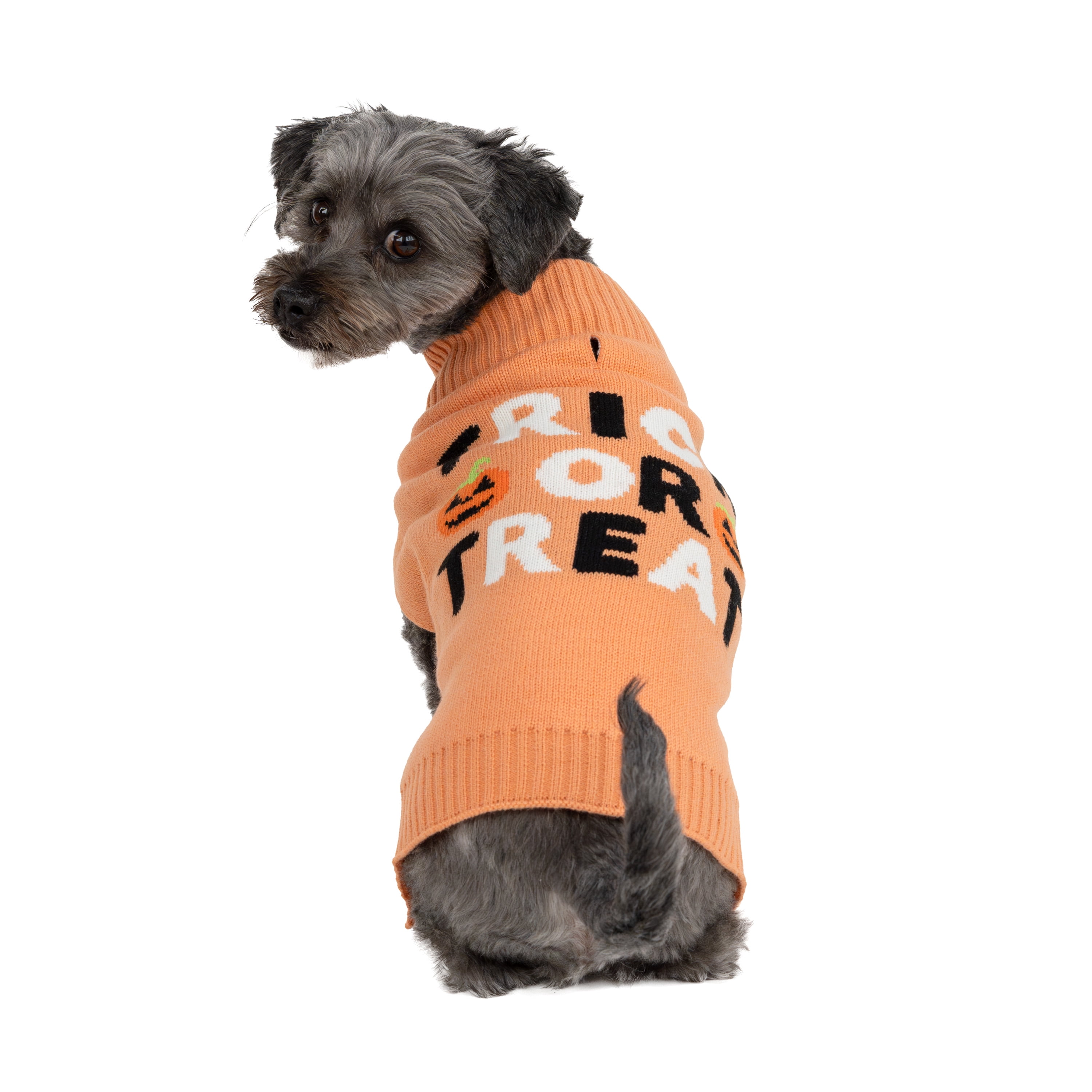 Vibrant Life, Dog and Cat Clothes, Trick or Treat Halloween Pet Sweater, Orange, Size Small