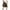 Coffee, variant on Holiday Deals 2024! Itsun Men Cargo Shorts,Men's Casual Solid Color Drawstring Pockets Elastic Loose Sports Shorts Coffee 3XL
