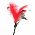 thumbnail image 4 of 5pcs Cat Kitten Pet Teaser Turkey Feather Interactive Stick Toy Wire Chaser, 4 of 4