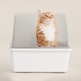 thumbnail image 6 of Cubby Litter Box, 6 of 8