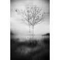 thumbnail image 2 of Perez Acevedo, Lisandro 17x24 White Modern Wood Framed Museum Art Print Titled - That Tree, 2 of 4