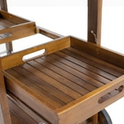 Rayan Outdoor Dark Oak Acacia Wood Bar Cart with Shiny Powder Coated Aluminum Accents