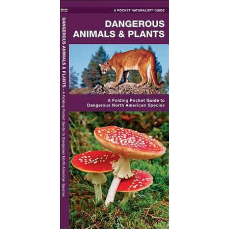 Plant Species - Pocket Naturalist Guides: Dangerous Animals & Plants: A Folding Pocket Guide to Dangerous North American Species (Paperback)
