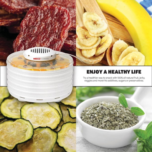NESCO® FD-38 Tray Snackxpress Food & Jerky Dehydrator - Walmart