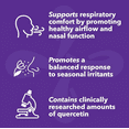 thumbnail image 4 of Breathe-X - Allergy & Sinus Relief Supplement - Supports Sinuses & Nasal Discomfort - Non-Drowsy & Fast-Acting - Quercetin, Bromelain, Citrus Bioflavonoids, Nettle Leaf & Vitamin C - 90 Capsules, 4 of 5