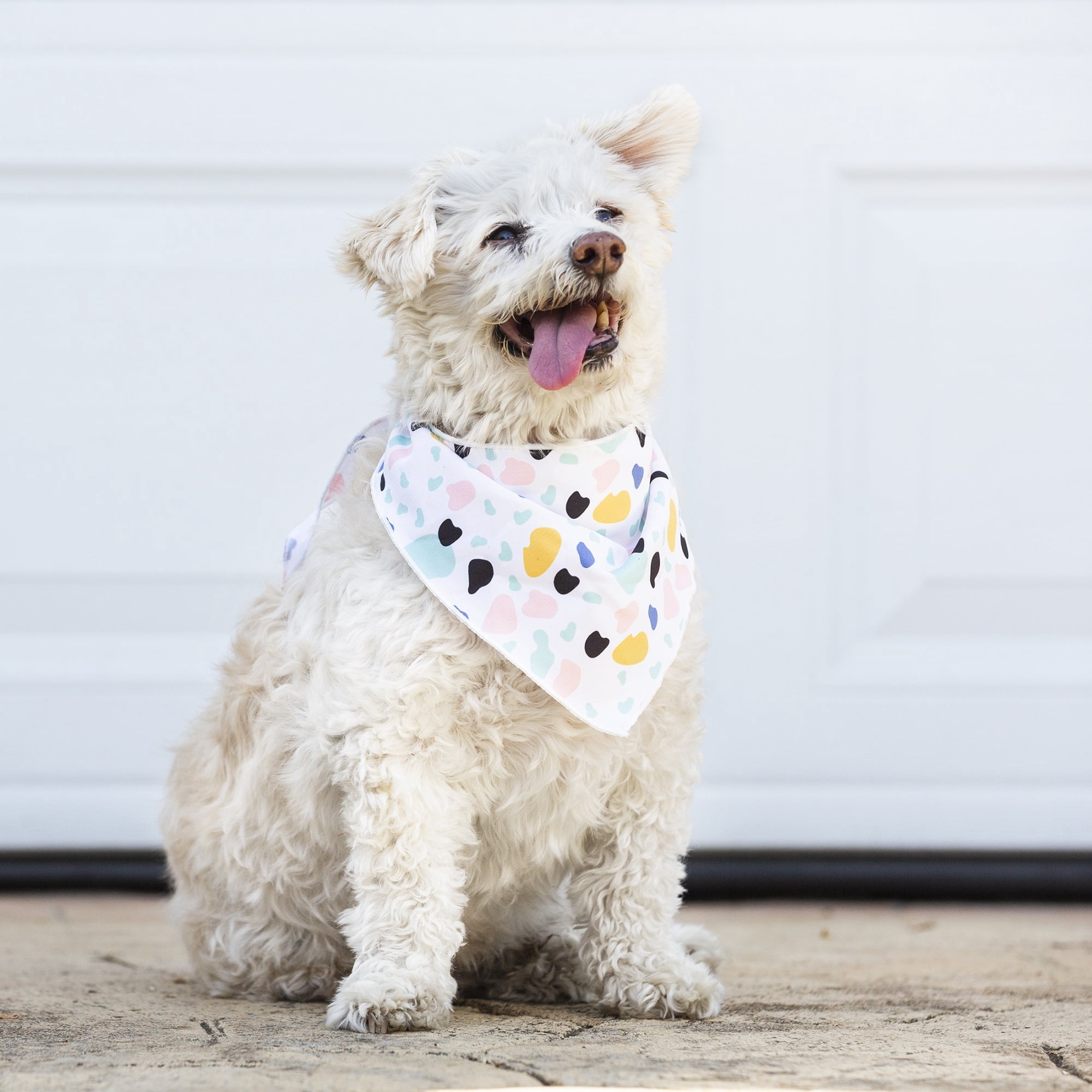 Vibrant Life Favorite Child Dog Bandana, 2 Pack, Multicolor, XS