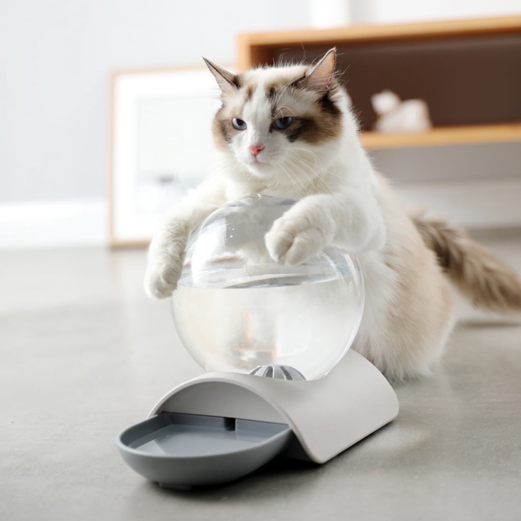 Cats Water Fountain 2.8L Automatic Pet Dog Water Dispenser for Various Pets Indoor Safe Plastics Clear Ball Container