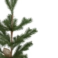 thumbnail image 3 of Northlight Real Touch™️ Ponderosa Pine Medium Artificial Christmas Tree Jute Base Decoration – Unlit, 3 of 9