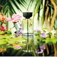 thumbnail image 4 of Perfume PARFUMS GUY LAROCHE Fidji Eau de Toilette para mujer 50 ml, 4 of 4